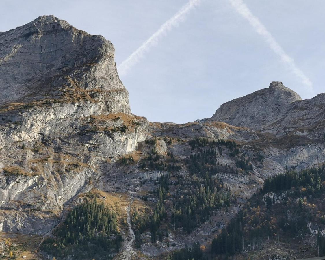 Vacation Rental - Pralognan La Vanoise Savoie エクステリア 写真