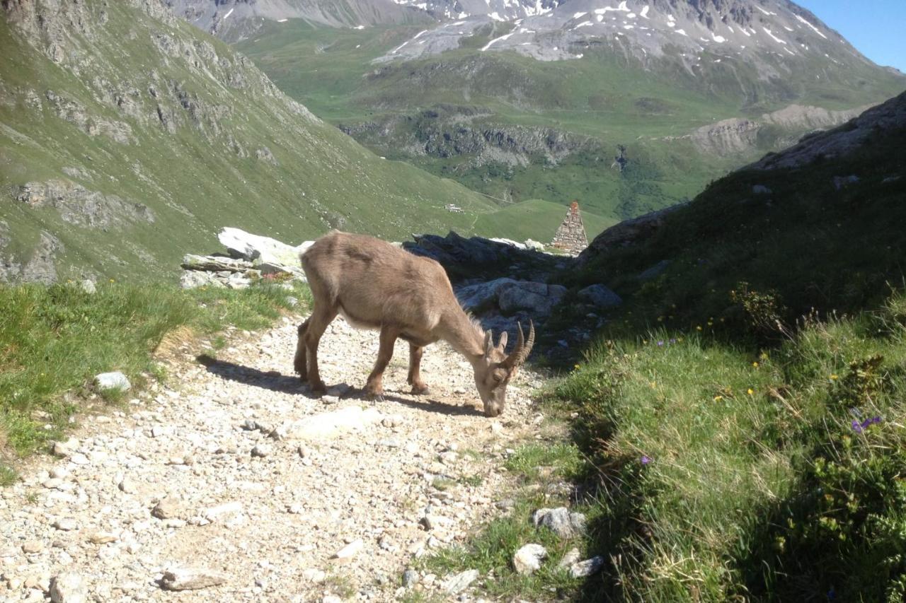 Vacation Rental - Pralognan La Vanoise Savoie エクステリア 写真